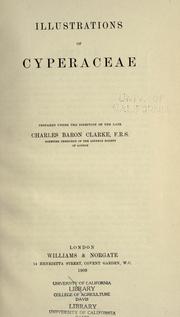 Cover of: Illustrations of Cyperaceae. by Charles Baron Clarke