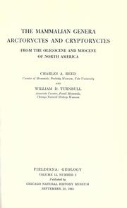 Cover of: The mammalian genera Arctoryctes and Cryptoryctes from the Oligocene and Miocene of North America