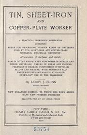 Tin, sheet-iron and copper-plate worker by Leory J. Blinn