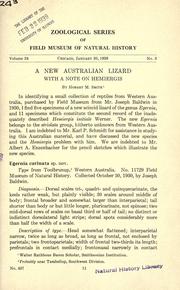 Cover of: A new Australian lizard, with a note on Hemiergis