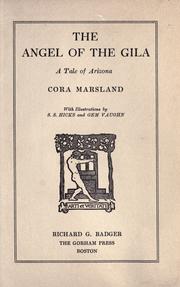 Cover of: The angel of the Gila: a tale of Arizona