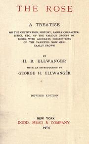 Cover of: The rose by Ellwanger, H. B.