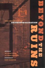 Cover of: Beyond the Ruins: The Meanings of Deindustrialization (ILR Press Books)