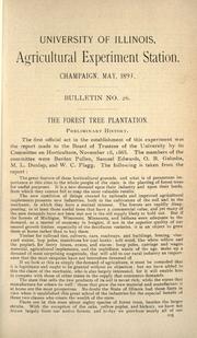Cover of: The Forest Tree Plantation