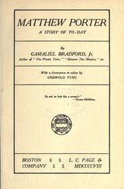 Cover of: Matthew Porter: a story of to-day