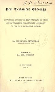 Neutestamentliche Theologie by Willibald Beyschlag