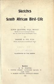 Sketches of South African bird-life by Alwin Karl Haagner