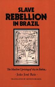 Cover of: Slave Rebellion in Brazil by João José Reis