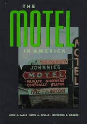 Cover of: The motel in America