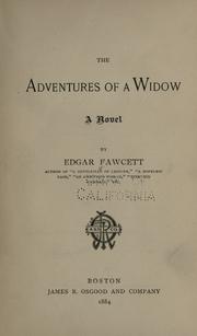 Cover of: The adventures of a widow: a novel