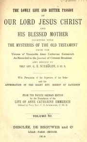 Cover of: The Lowly life and bitter Passion of Our Lord Jesus Christ and His Blessed Mother