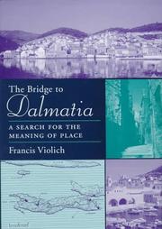 Cover of: The bridge to Dalmatia: a search for the meaning of place