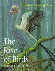 The rise of birds by Sankar Chatterjee