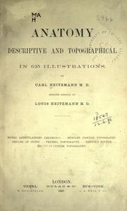 Cover of: Anatomy: descriptive and topographical in 625 illustrations