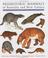 Cover of: Prehistoric Mammals of Australia and New Guinea