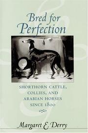 Bred for Perfection by Margaret E. Derry
