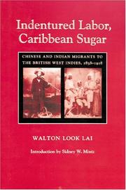 Cover of: Indentured Labor, Caribbean Sugar | Walton Look Lai