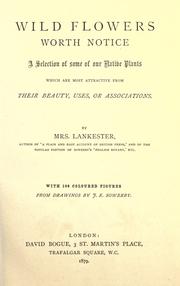 Cover of: Wild flowers worth notice: a selection of some of our native plants which are most attractive from their beauty, uses, or associations
