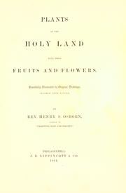 Cover of: Plants of the Holy Land by H. S. Osborn