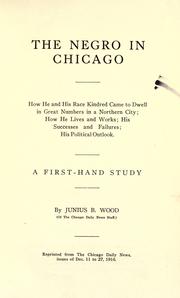 Cover of: The negro in Chicago. by Junius B. (Boyd) Wood