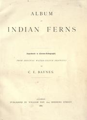 Cover of: Album of Indian ferns by C. E. Baynes