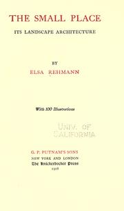 Cover of: The small place by Elsa Rehmann