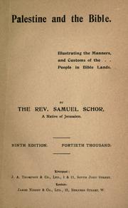 Cover of: Palestine and the Bible by Samuel Schor