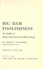 Cover of: Big dam foolishness: the problem of modern flood control and water storage.