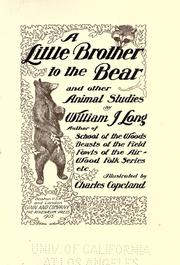Cover of: A little brother to the bear: and other animal studies