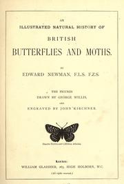 Cover of: Illustrated natural history of British butterflies and moths