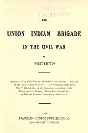 Cover of: The Union Indian Brigade in the Civil War by Wiley Britton