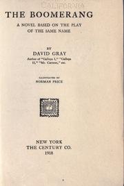 Cover of: The boomerang by David Gray