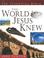 Cover of: The world Jesus knew