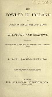 Cover of: The fowler in Ireland by Payne-Gallwey, Ralph Sir