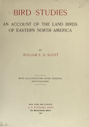 Cover of: Bird studies by William Earle Dodge Scott