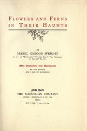 Cover of: Flowers and ferns in their haunts