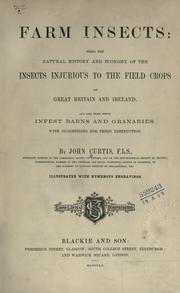 Cover of: Farm insects by Curtis, John