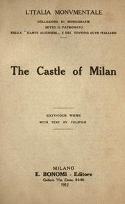 Cover of: The castle of Milan: sixty-four views, with test