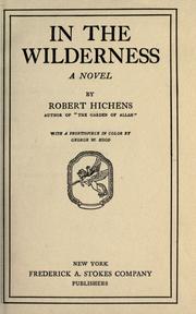 Cover of: In the wilderness: a novel