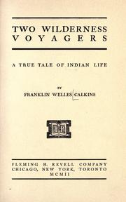Cover of: Two wilderness voyagers: a true tale of Indian life