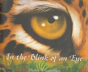 Cover of: In the Blink of an Eye