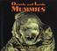 Cover of: Outside and Inside Mummies