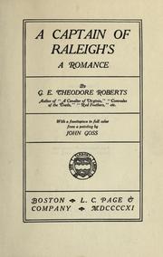 Cover of: A captain of Raleigh's: a romance.