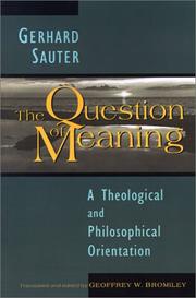 Cover of: The question of meaning: a theological and philosophical orientation