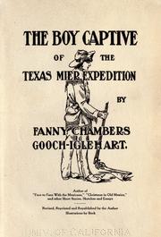 Cover of: boy captive of the Texas Mier expedition