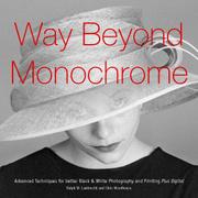 Cover of: Way beyond monochrome by Ralph W. Lambrecht