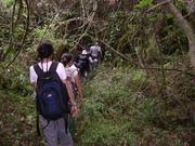 Cover of: Los Mancheno en el Ecuador: un camino histórico de 270 años