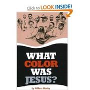 Cover of: What color was Jesus? by William Mosley