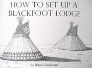 How To Set Up A Blackfoot Lodge by Brian Cannavaro