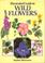 Cover of: Illustrated guide to wild flowers.